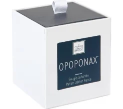 Store ATMOSPHERA Bougie Parfumee Opoponax Pot En Verre 190 G