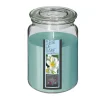 Best Sale ATMOSPHERA Bougie Parfumee Fleur De Tiare Pot En Verre 510 G