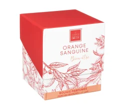 Outlet ATMOSPHERA Bougie Parfumee Orange Sanguine Pot En Verre 210 G