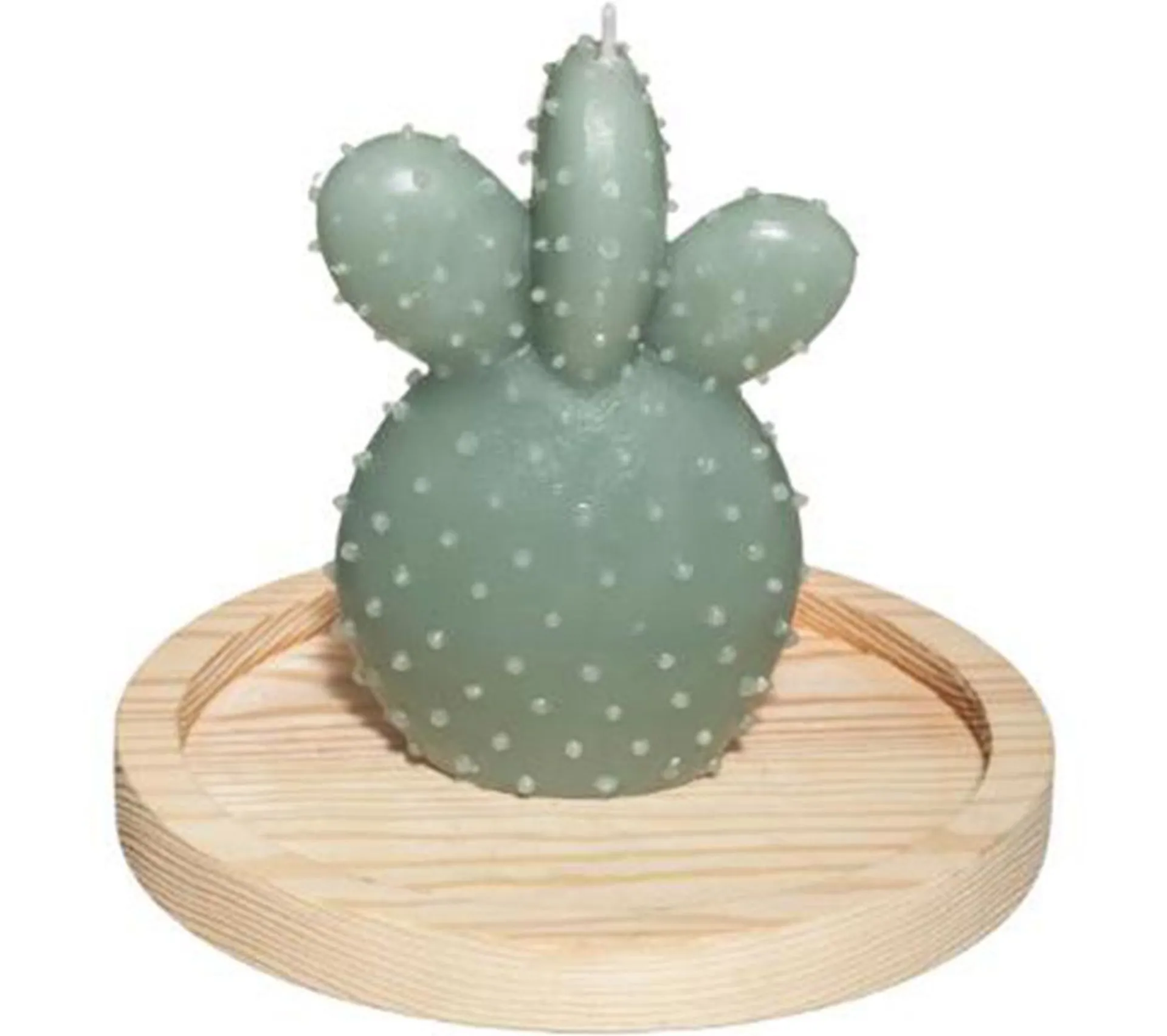 New * Bougie Avec Cloche En Verre "Jardin" 145G Vert