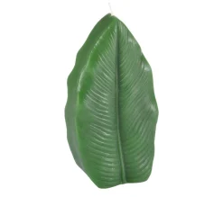 Shop * Bougie Feuille "Jardin D'Hiver" 18Cm Vert Fonce