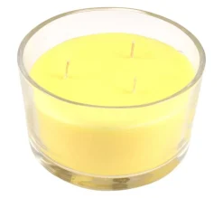 Clearance * Bougie Parfumee 3 Meches "Essentiel" 13Cm Citronnelle