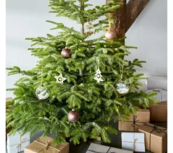 * Guirlande Et Boule De Sapin^Boule Fleurs Sechees 8 Cm Transparent