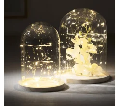 Hot * Cloche Décorative En Verre 