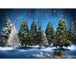 FEERIC LIGHTS AND CHRISTMAS Sapin Et Accessoire^ Sapin De Noël Artificiel Vert H 150 Cm