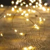 FEERIC LIGHTS AND CHRISTMAS Guirlande Et Boule De Sapin^ Guirlande Lumineuse Interieur 20 Microled Blanc Chaud Sur 1.90 Metres