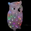 Sale FEERIC LIGHTS AND CHRISTMAS Hibou Lumineux 60 Led - Multicolore