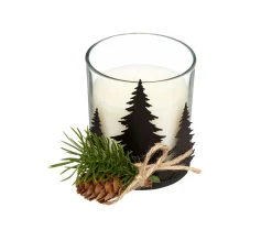 Cheap FEERIC LIGHTS AND CHRISTMAS Bougie Parfumee Pot En Verre Avec Sapin Et Pomme De Pin 200 G
