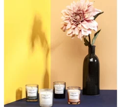 Flash Sale * Lot De 4 Bougies Parfumees "Harmony" 6Cm Multicolore