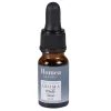 Sale * Parfum D'Ambiance "Aroma" 10Ml Menthe Calme
